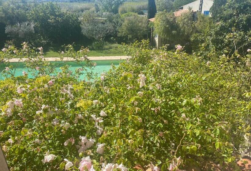 Пансион Mas Des Oliviers