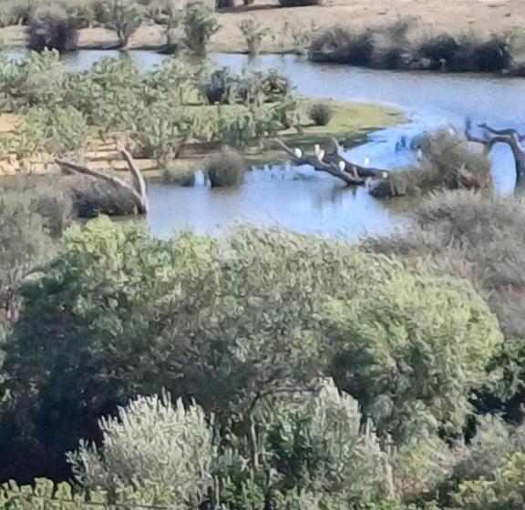 بنسيون Caslune