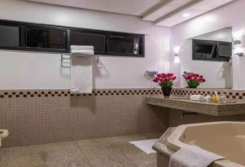 Hotelli Dan Inn Uberlandia