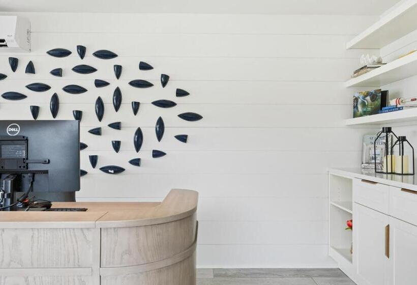 فندق Greyfinch Chatham Inn