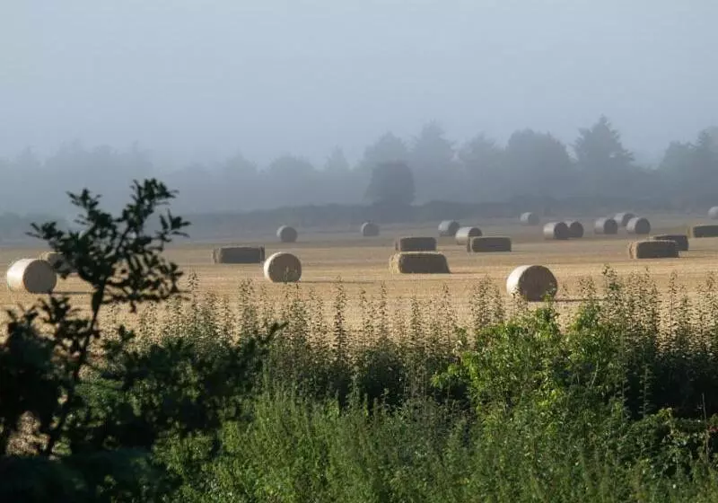 ホテル High Park Farm
