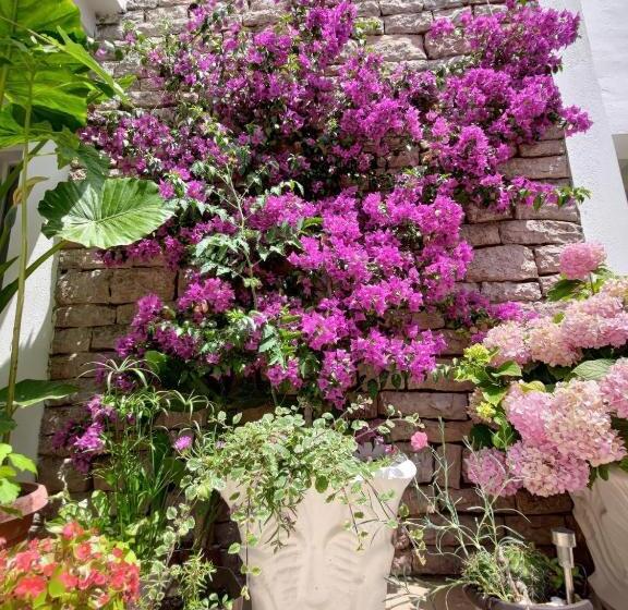 پانسیون Vila Monte