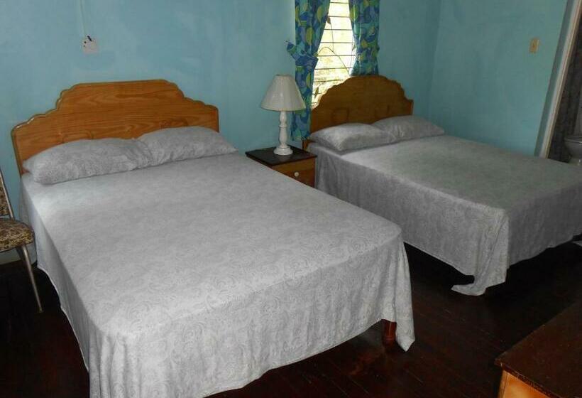 Tropical Vibe Hostel Kingston   Near Half Way Tree