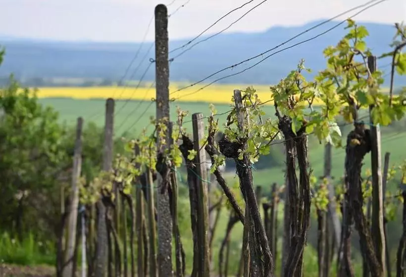 Aamiaismajoitus (B&B) Vulcano Guesthouse