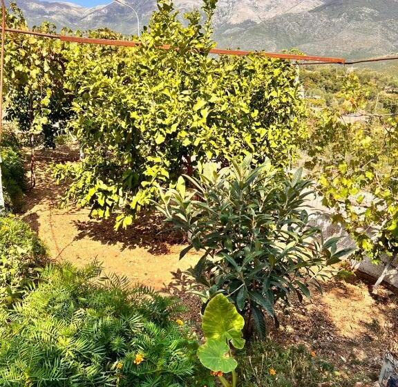 پانسیون Village Room