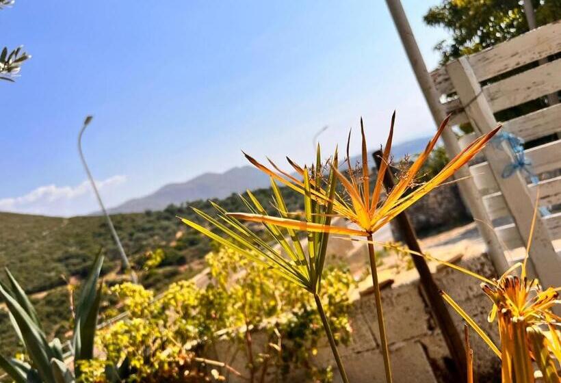 پانسیون Village Room