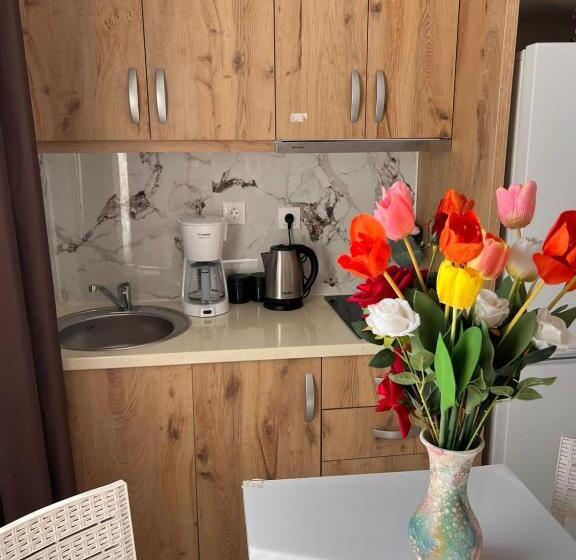 پانسیون Village Room