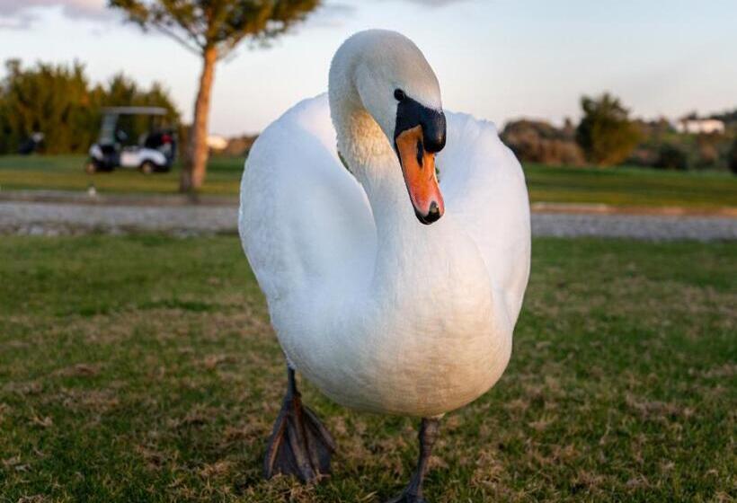 استراحتگاه Pestana Silves Golf & Residences