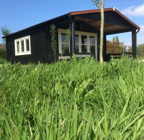 Bed and Breakfast Fields 1216