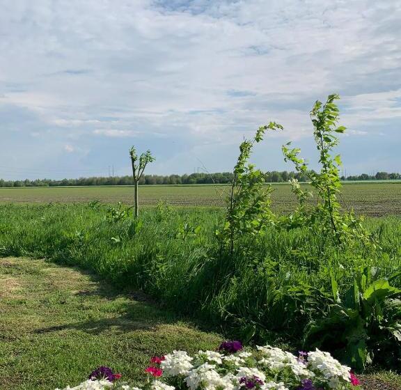 Bed and Breakfast Fields 1216