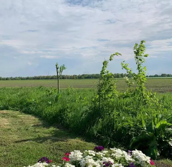 Aamiaismajoitus (B&B) Fields 1216