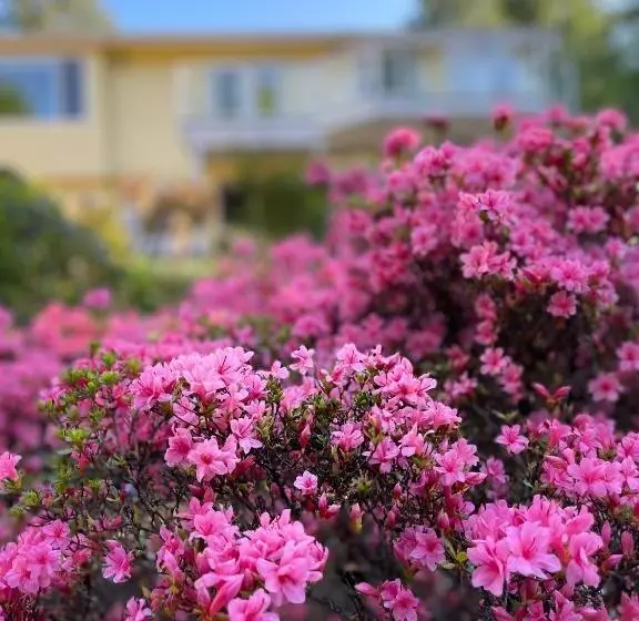 Majatalo The Rhodo Place
