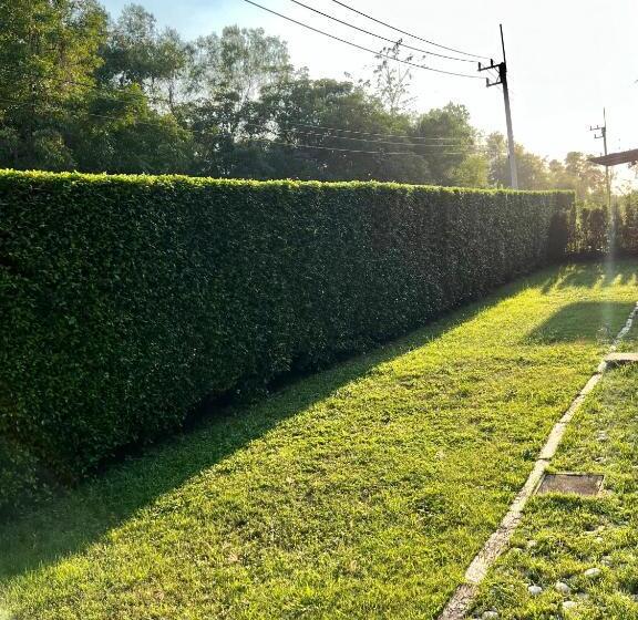 Area15 Hotel & Apartment