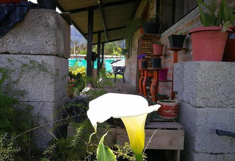 Bed and Breakfast Casa De Alojamiento Tipo Chalet