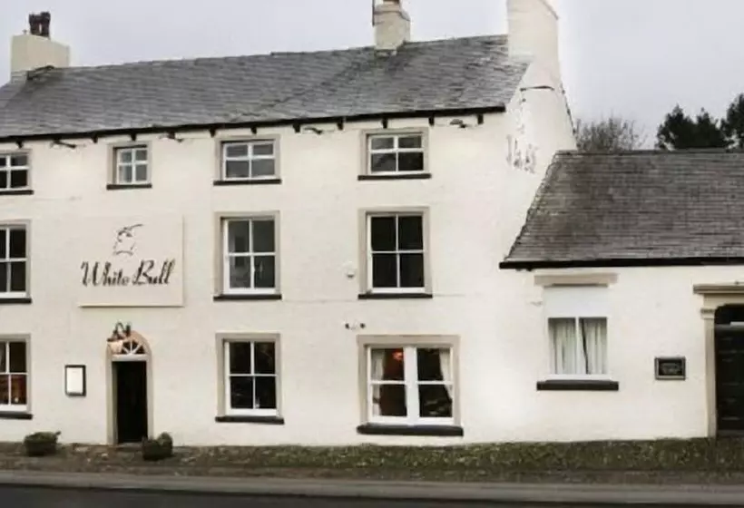Hotelli The White Bull