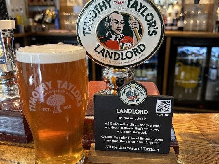 فندق The White Bull