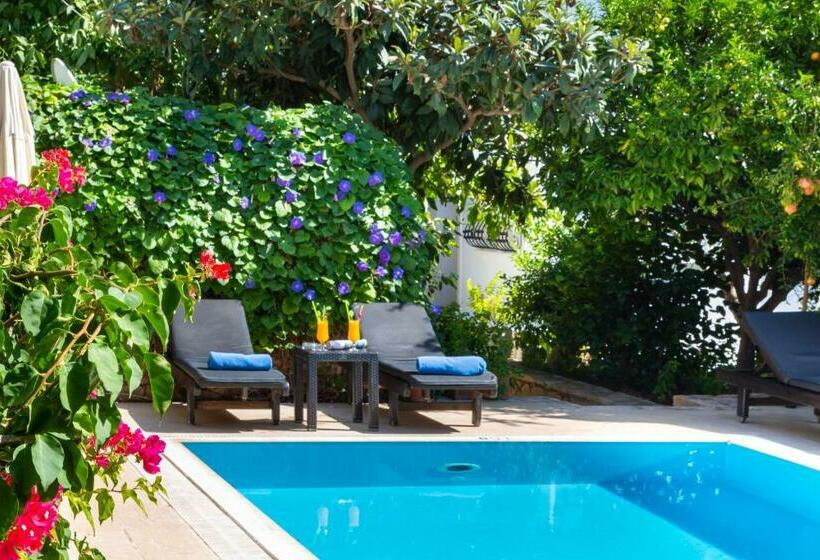 Korsan Apartment No.5