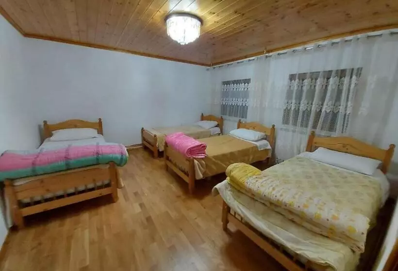 ペンション Guest House Trojani