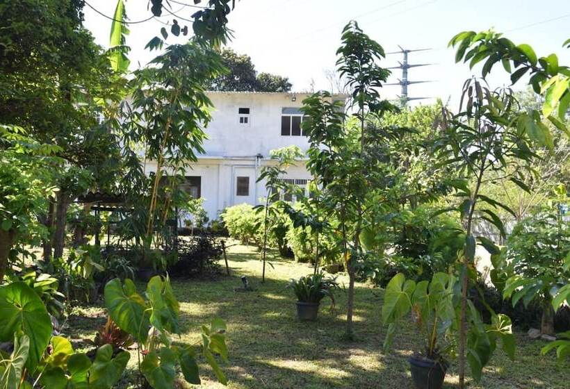 Hotel Red Lotus Holiday Resort