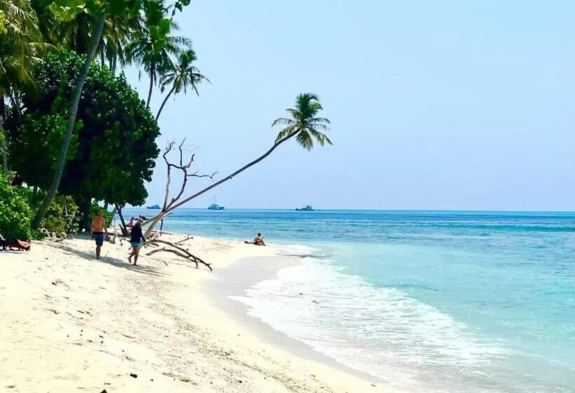 هتل Si! Coral Inn