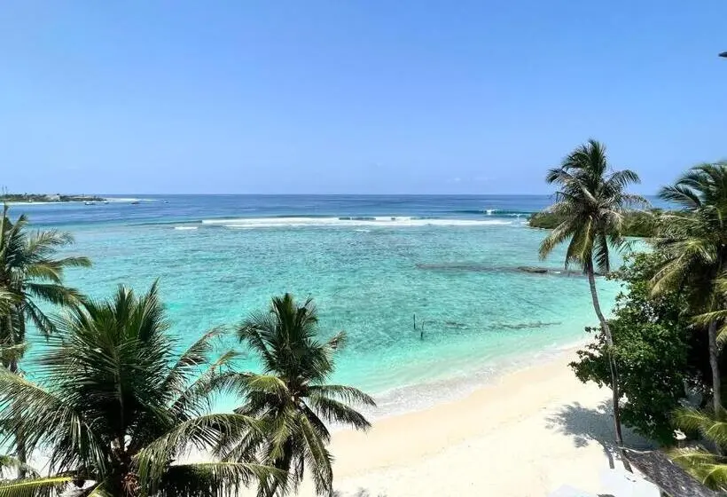 هتل Si! Coral Inn