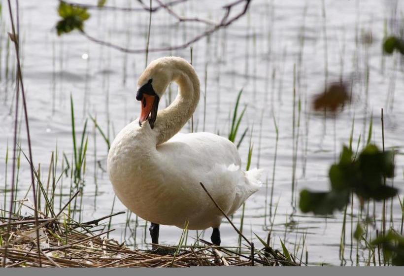 בית מלון כפרי Borbjerg Molle Kro