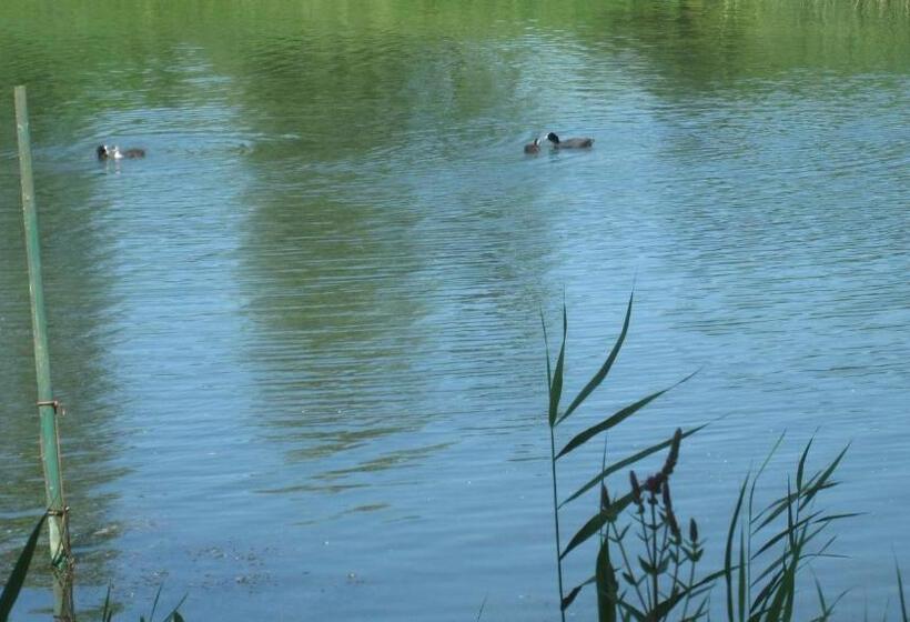 فندق Gastehaus Zur Linde