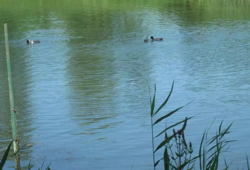 Hotelli Gastehaus Zur Linde