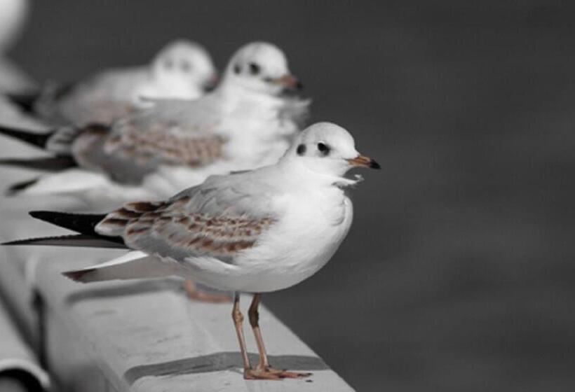 فندق Gastehaus Zur Linde