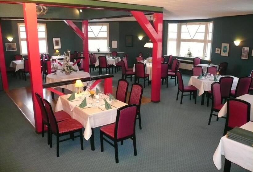 فندق Pension Bellevue