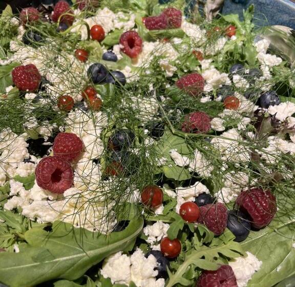 فندق Pension Burkhardt