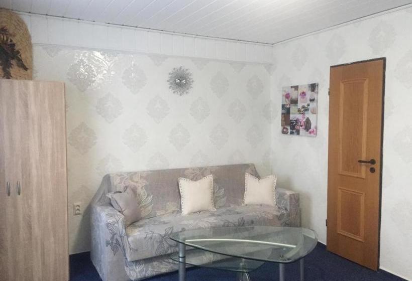 فندق Pension Check In