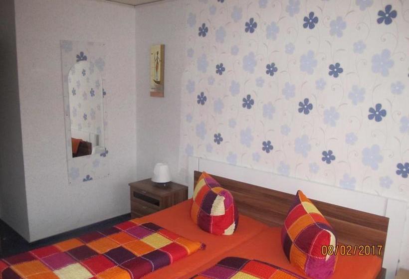 فندق Pension Check In