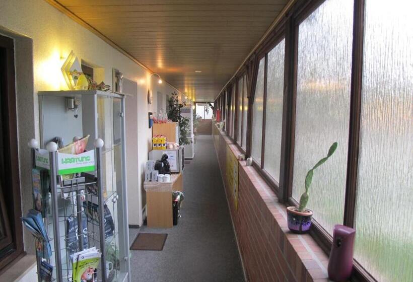 فندق Pension Check In