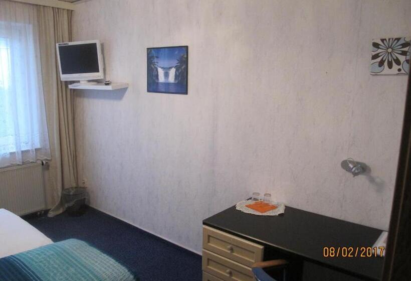 فندق Pension Check In