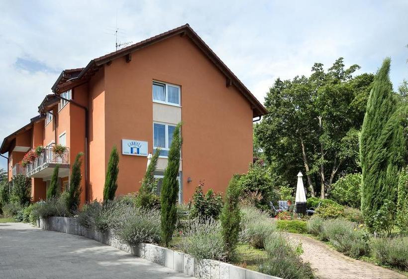 בית מלון כפרי Pension Gabriela