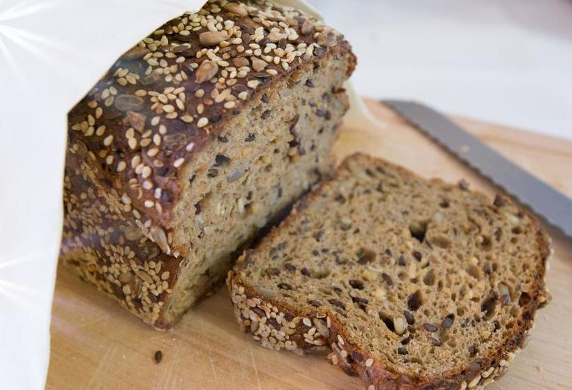 בית מלון כפרי Pension Gabriela