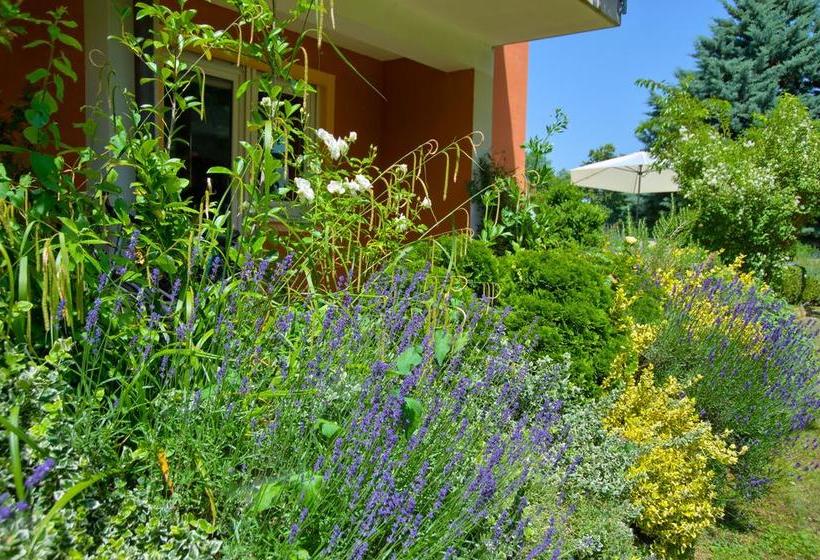 בית מלון כפרי Pension Gabriela