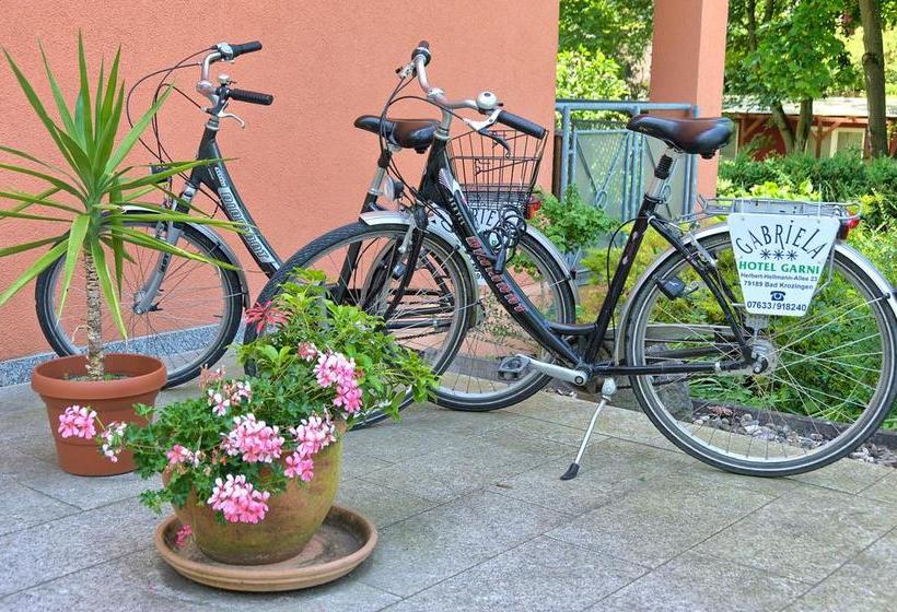 בית מלון כפרי Pension Gabriela