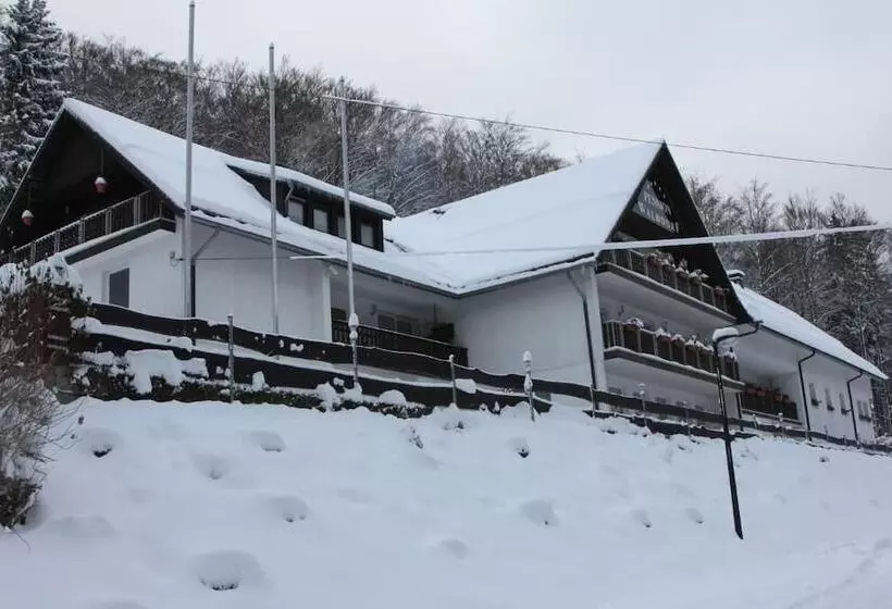 هتل Pension Walddorf