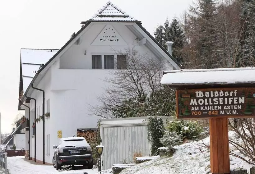 هتل Pension Walddorf