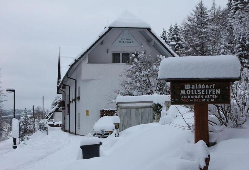 호텔 Pension Walddorf