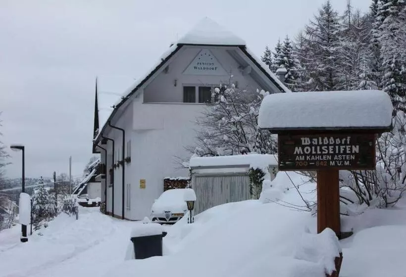 هتل Pension Walddorf