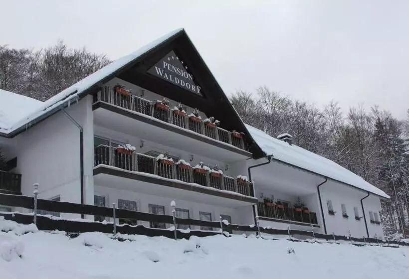 هتل Pension Walddorf
