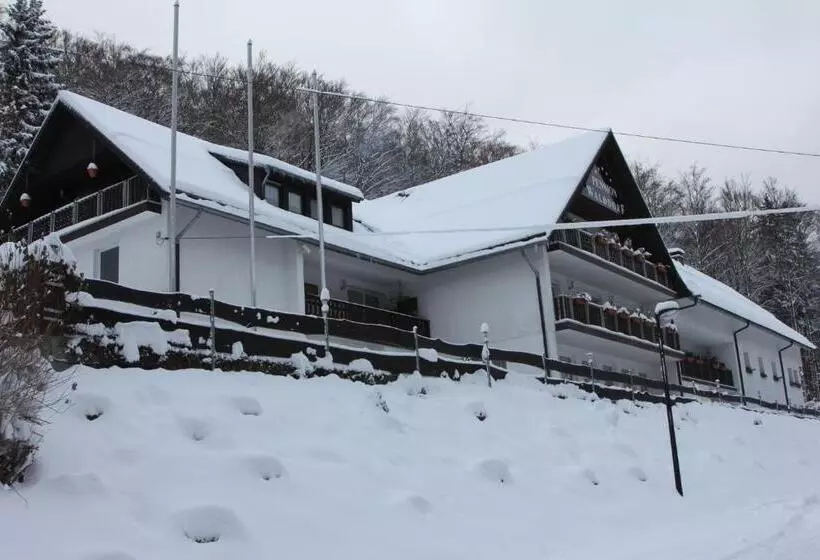 هتل Pension Walddorf