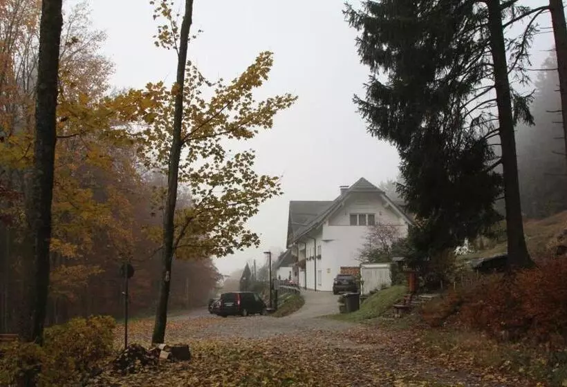 هتل Pension Walddorf
