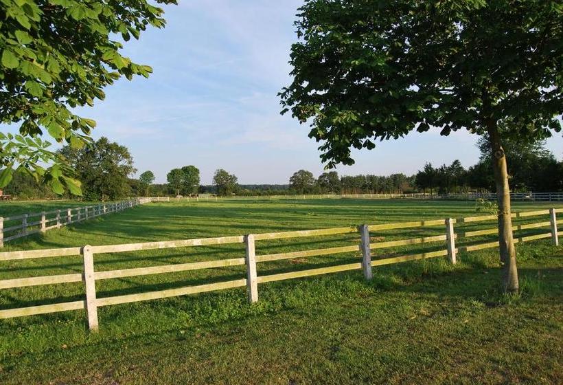 فندق Pension Wortmann