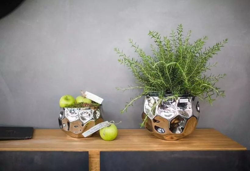 Hotelli & Restaurant Fackelgarten Plau Am See