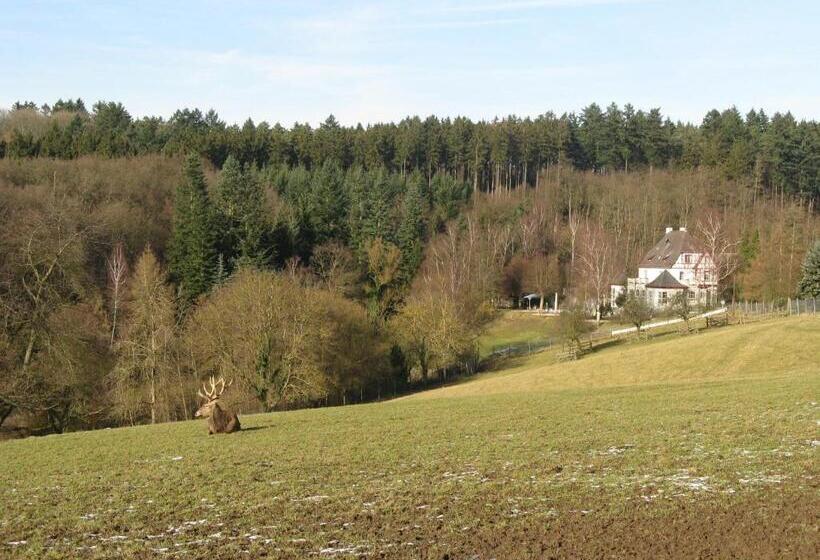Waldhotel Forsthaus Remstecken