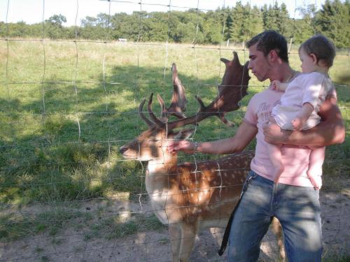 Waldhotel Forsthaus Remstecken